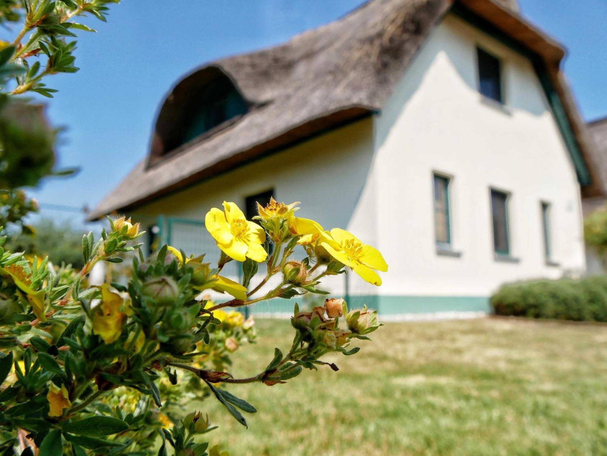 Ferienpark Scharmuetzelsee Wendisch Rietz Exteriér fotografie